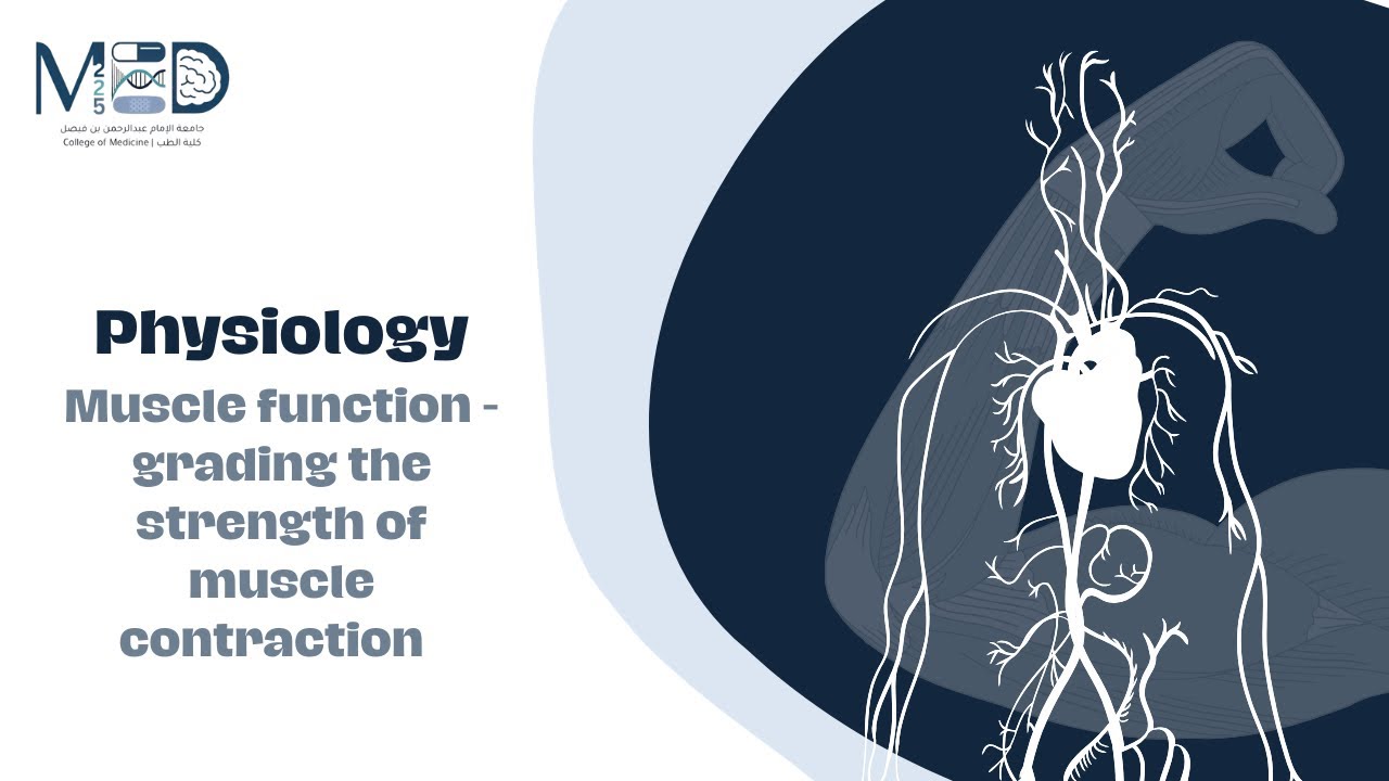 Physiology : grading of muscle contraction