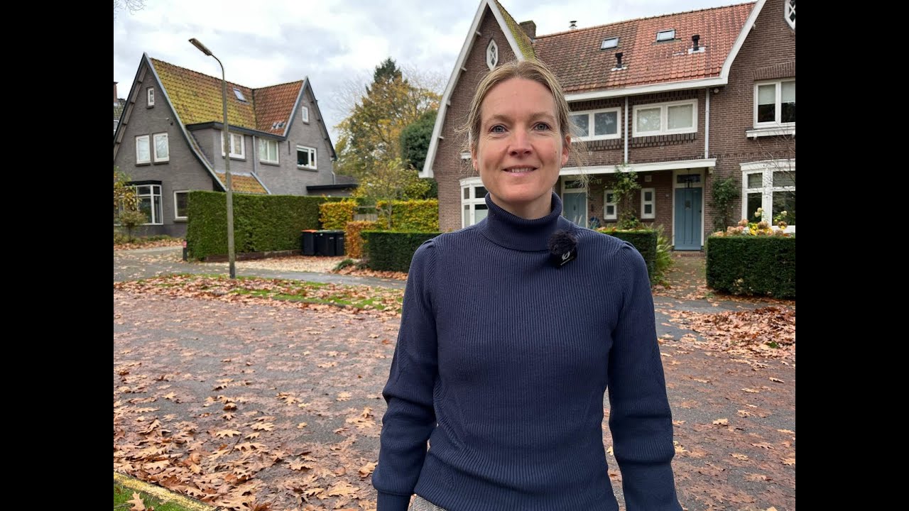 Wat is hoogbegaafdheid?