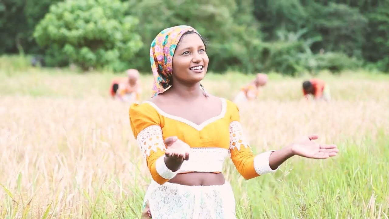 Goyam kavi Saha Nelum Kavi | ගොයම් කවි සහ නෙළුම් කවි #srilanka #culture #traditional