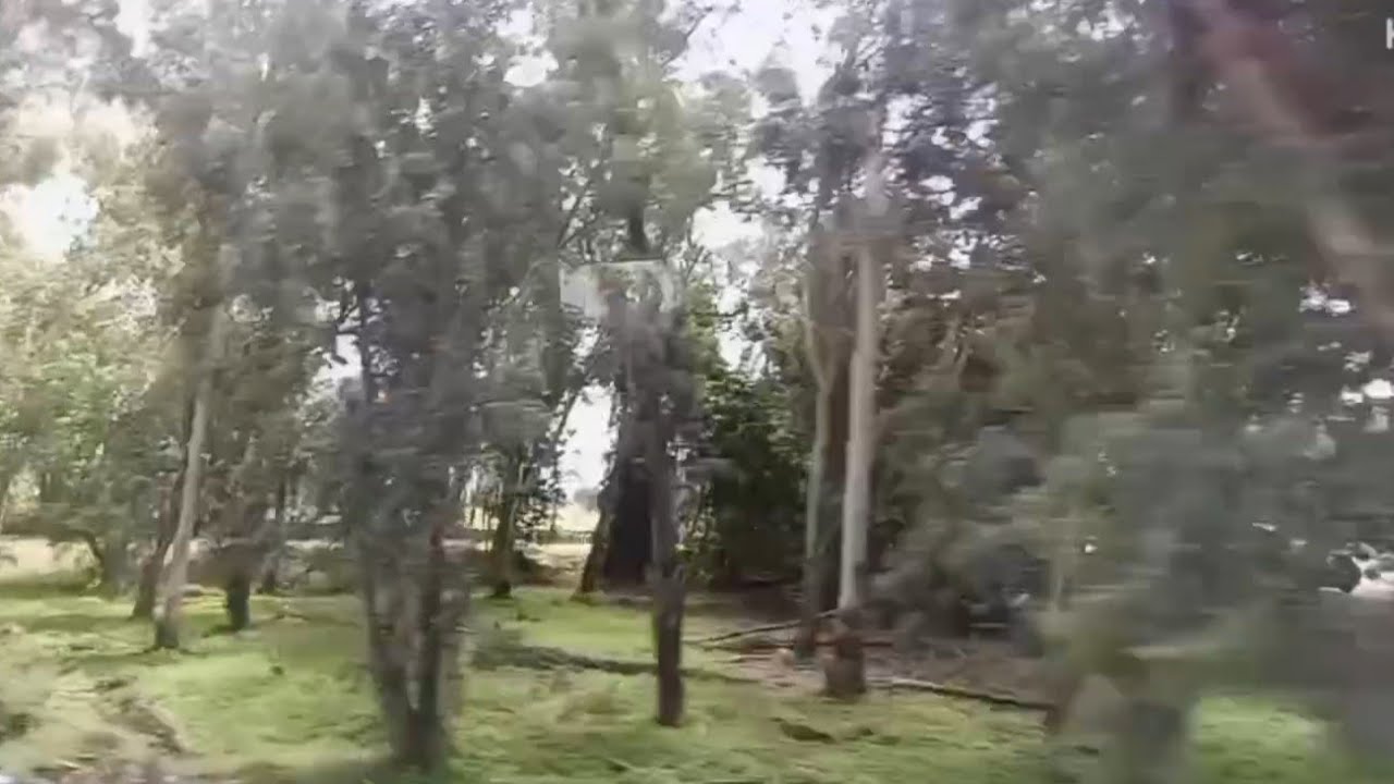 ONTO BAGUIO | YES TO GREENS NO TO SUBDIVISIONS (Hope not🙏🙏🙏) #nature #travel #greenfield #pastures