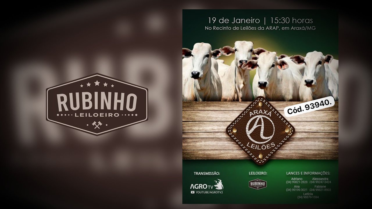 LEILÃO DE CORTE - ARAXÁ LEILÕES 19/01/2025