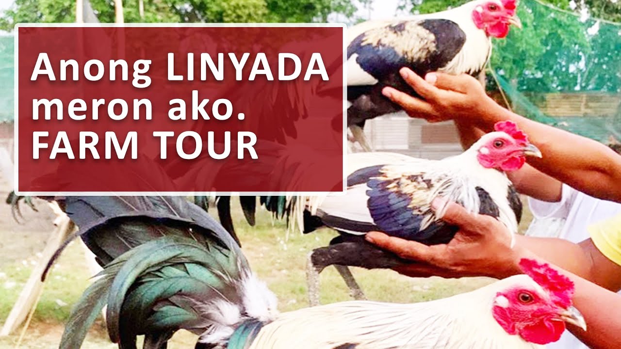 My Farm Tour