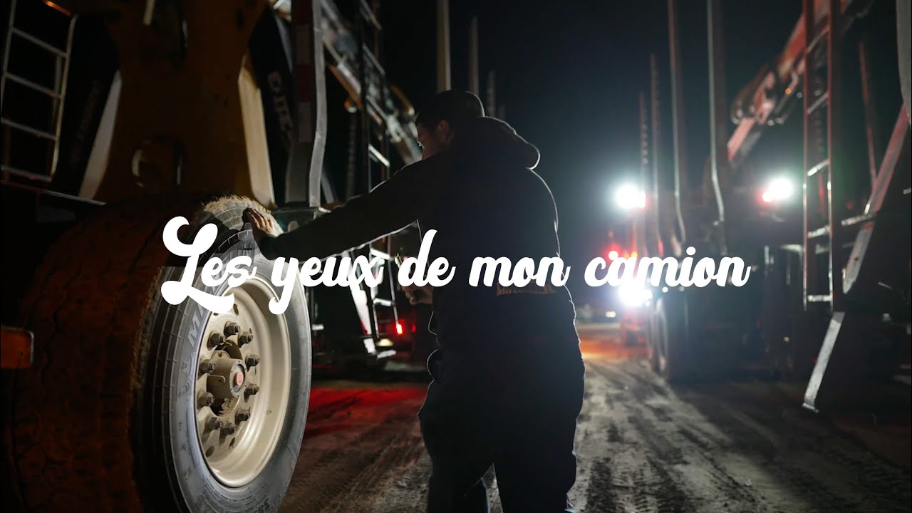 Les yeux de mon camion: Le bois