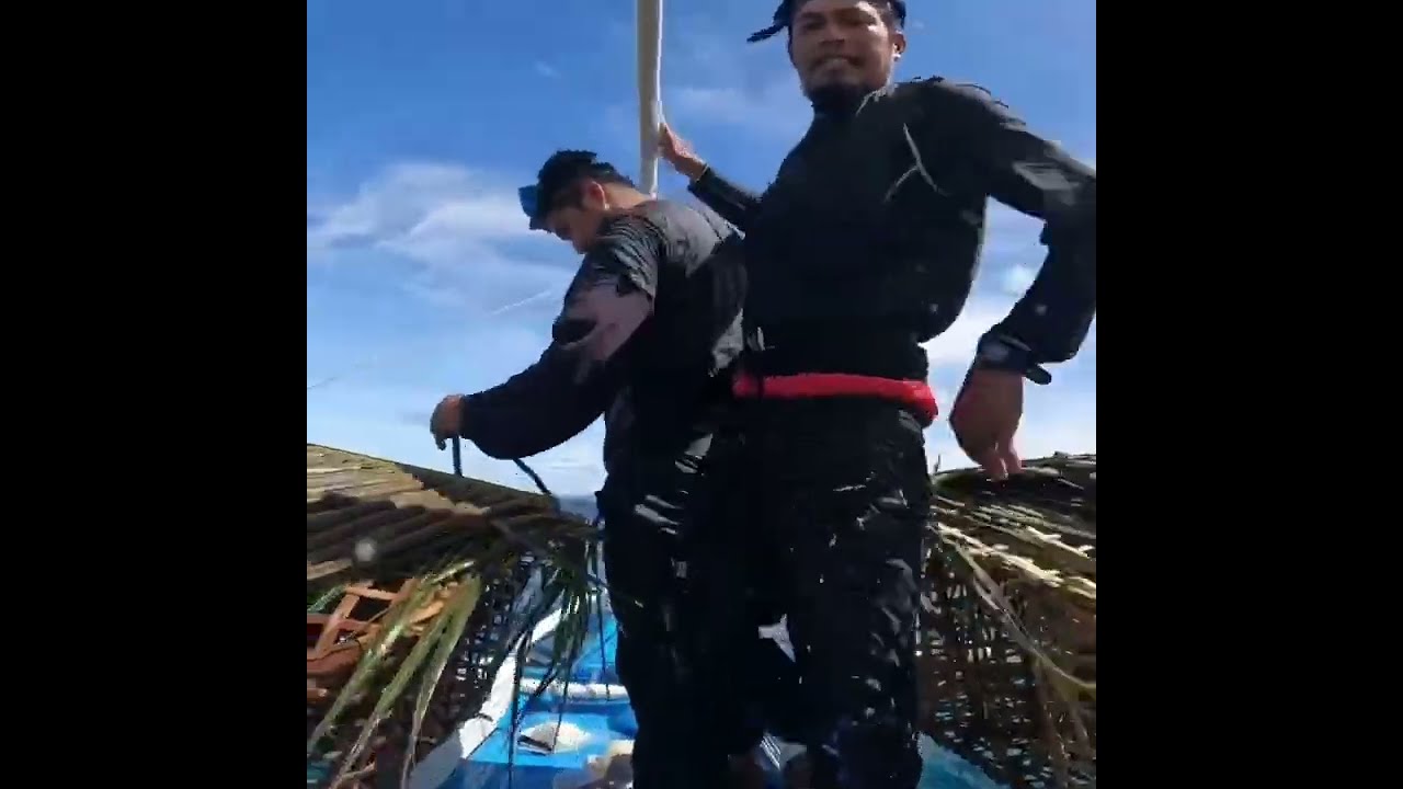 Pasang bubuk roker di jamin masuk semua babon babon ikan krapu yang berkumpul di sarang nya