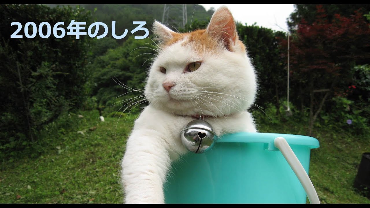 2006年のしろ 220308