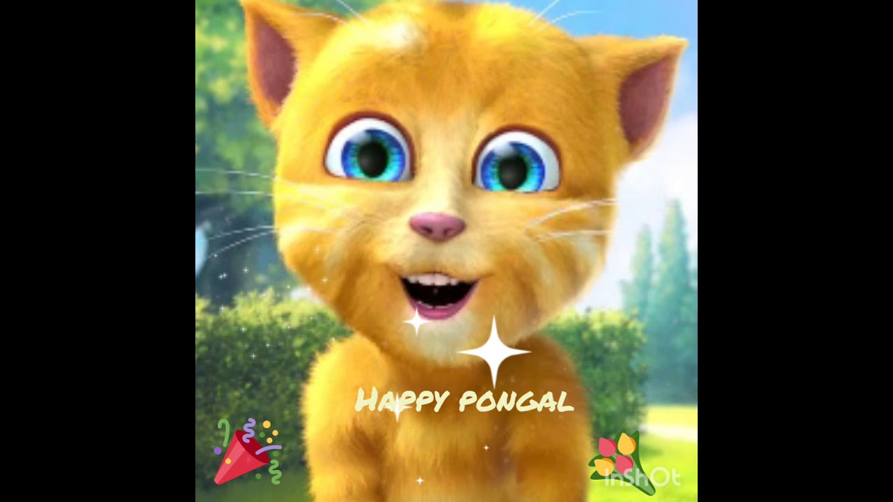 My Talking Tom /Happy pongal /2021
