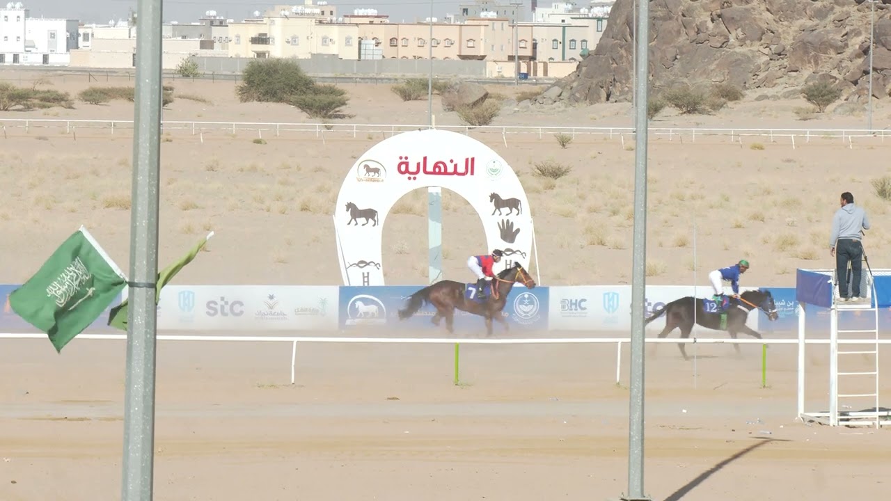الشوط 2 بالحفل السادس عشر يوم الاحد 22-7-1447هـ