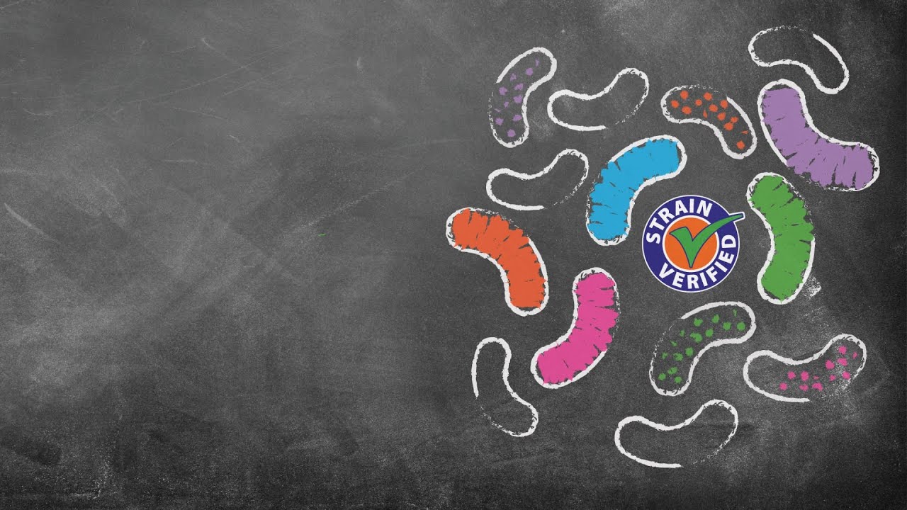 How to choose the right Probiotic for you | NOW food Probiotics