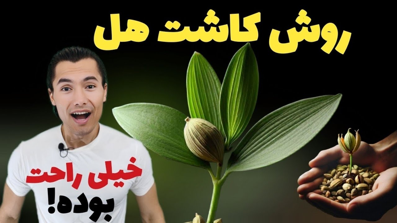 روش کشت هل | هل نخر خودت بکار | خیلی ساده از کاشت تا برداشت