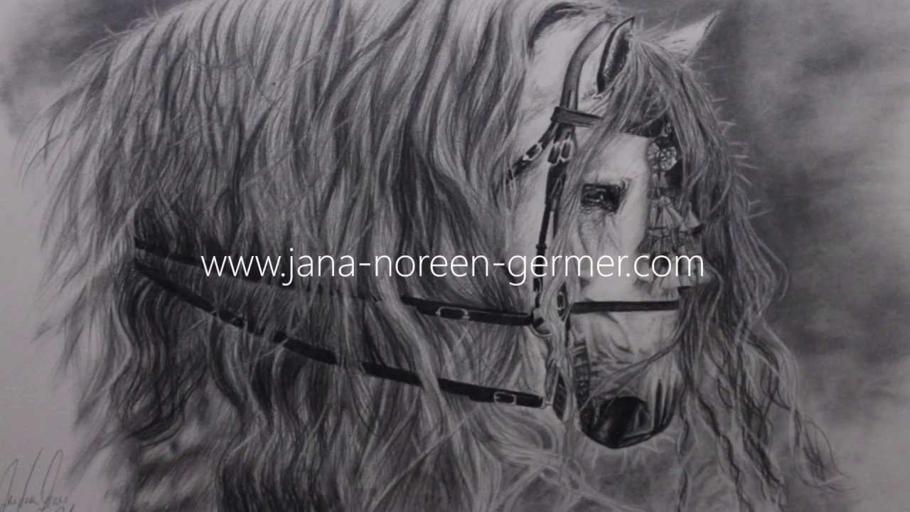 Portrait malen lassen Pferdeportrait ohne Raster/Projektor - Bleistift Zeichnung PRE Estudiante MAT