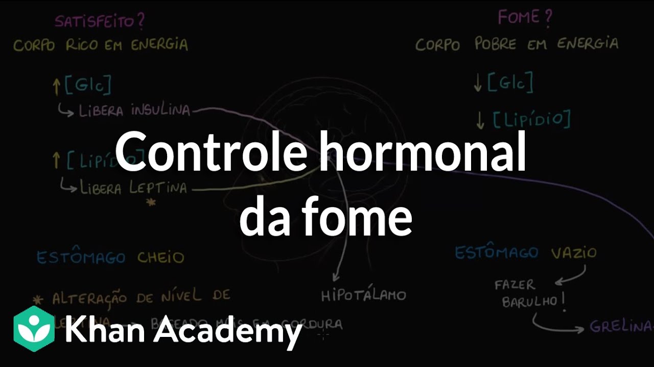 Controle hormonal da fome