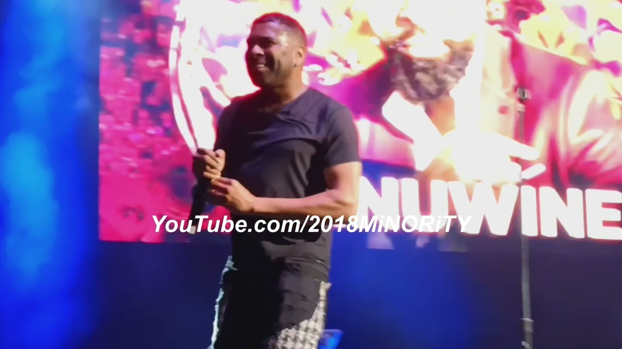 Ginuwine- I Miss You (Aaliyah Tribute) (Live at R&B Night Out 2024) (August 24, 2024)