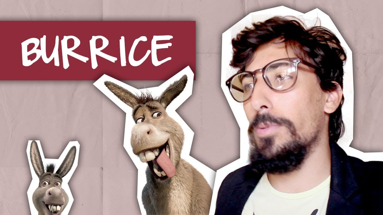 BURRICE