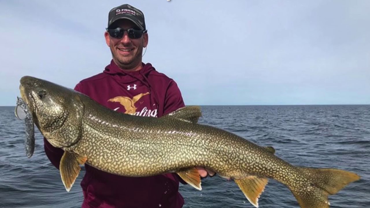 BONDY BAIT - Premium Musky, Pike, and Lake Trout Baits!