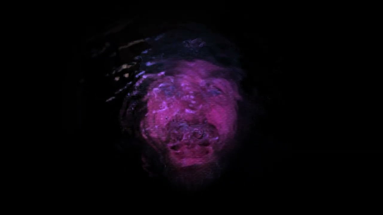 Pictish Trail - Werewolf Ending (Official Visualiser)