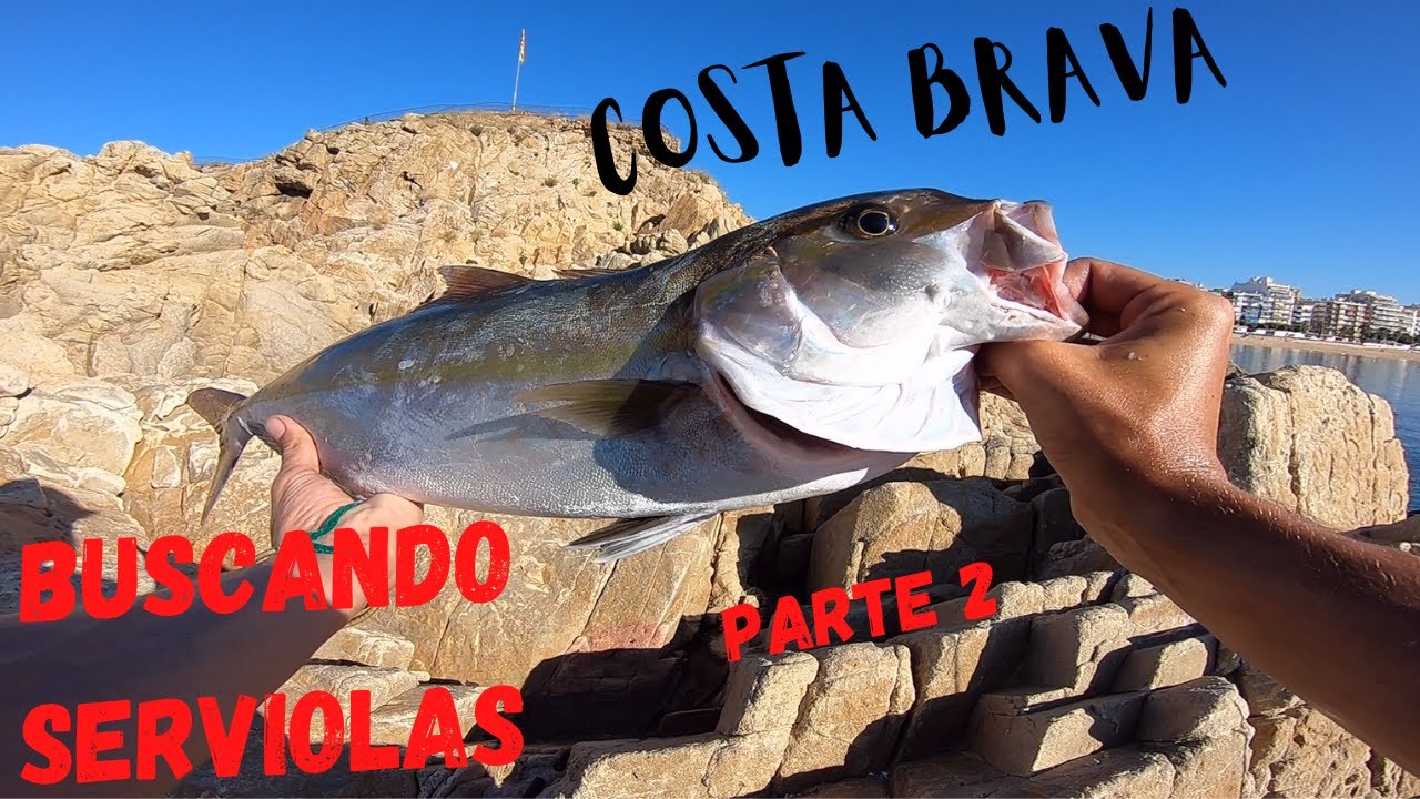 BUSCANDO SERVIOLAS POR LA COSTA BRAVA [Parte 2]