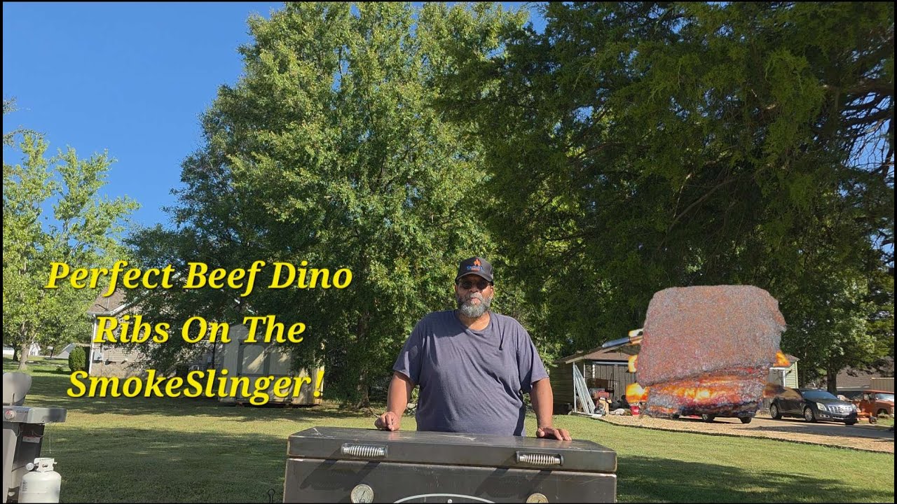 SmokeSlinger Beef Dino Ribs!