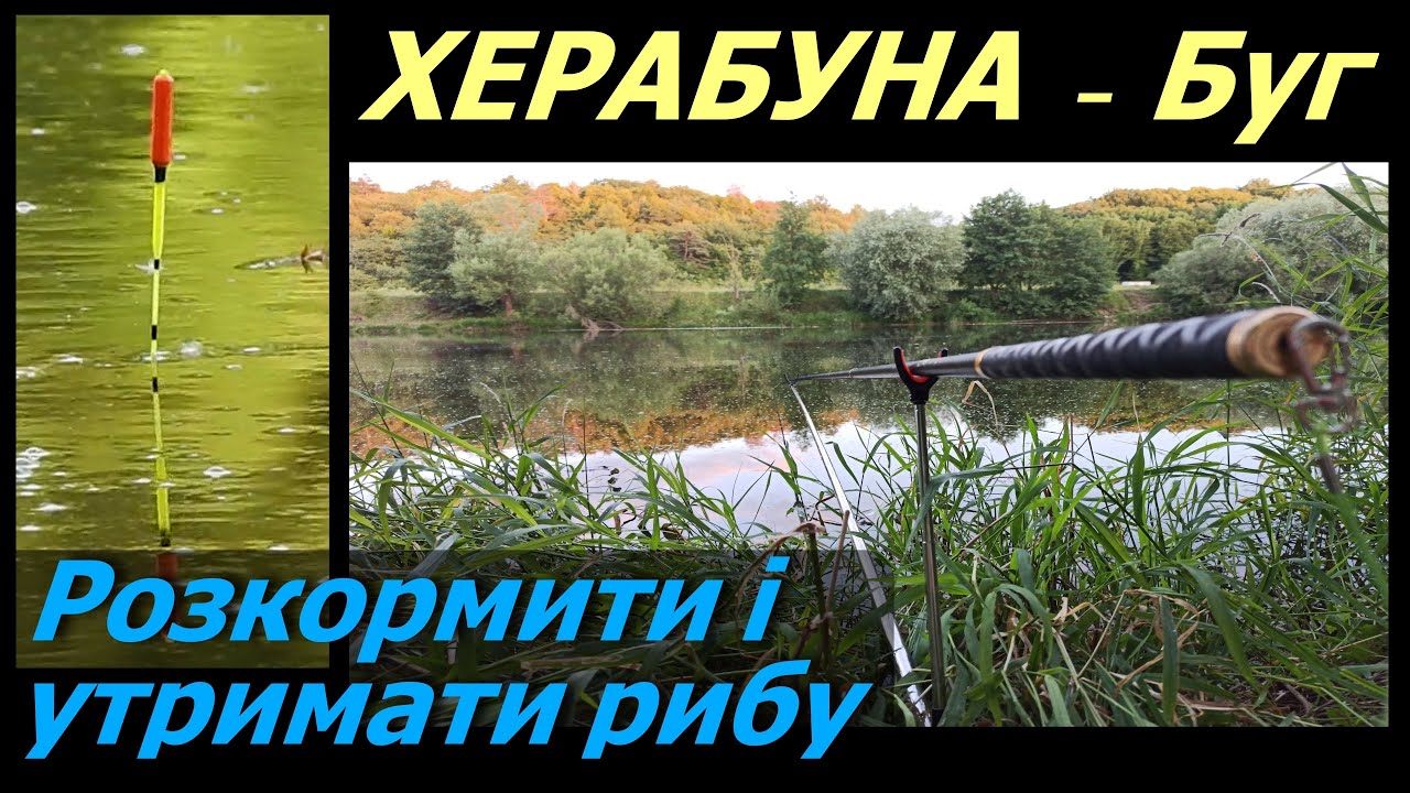 Херабуна, особливості лову на течії у літню спеку.