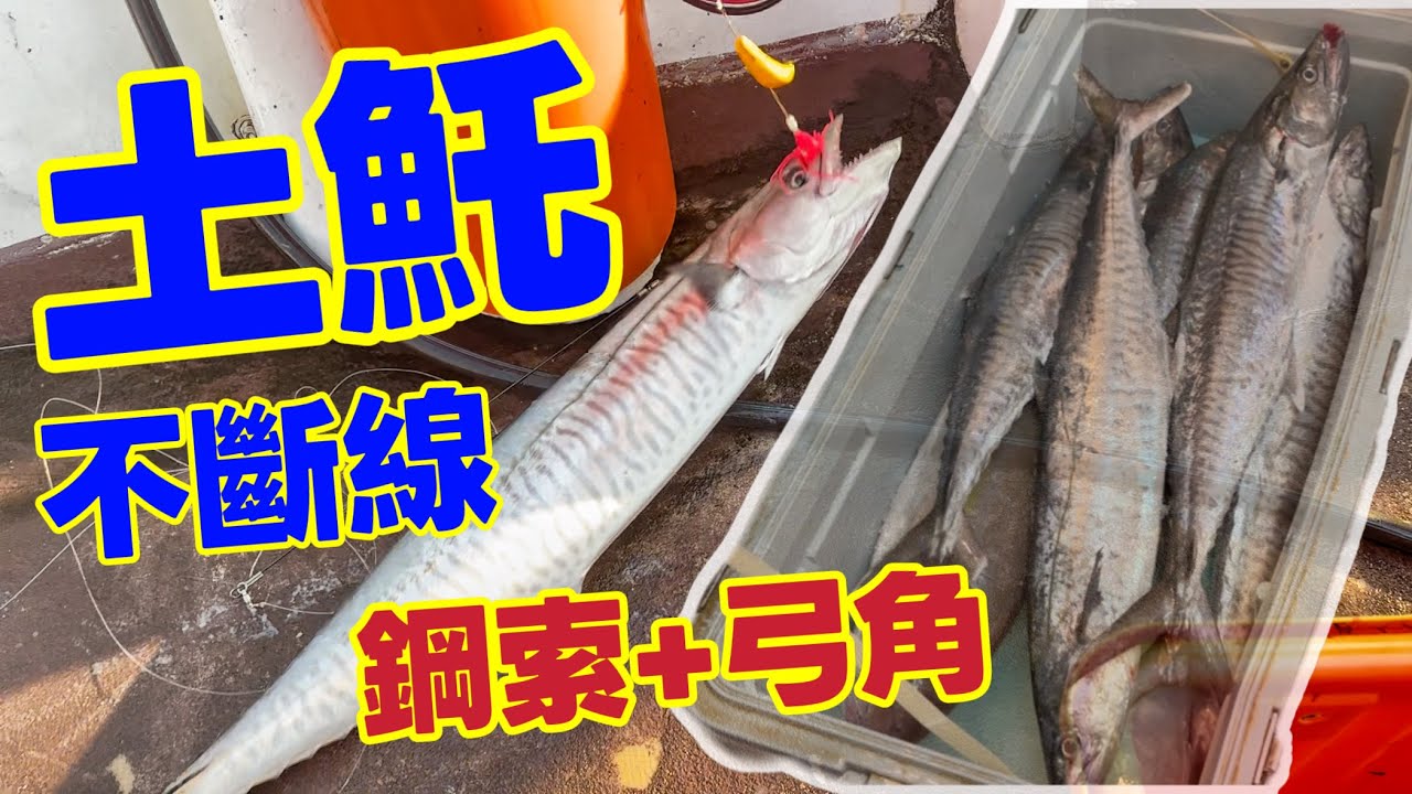 釣土魠不斷線！鐵板釣組-中通弓角+鋼索線剪不斷狂尻7土魠！高雄小港大益海釣船