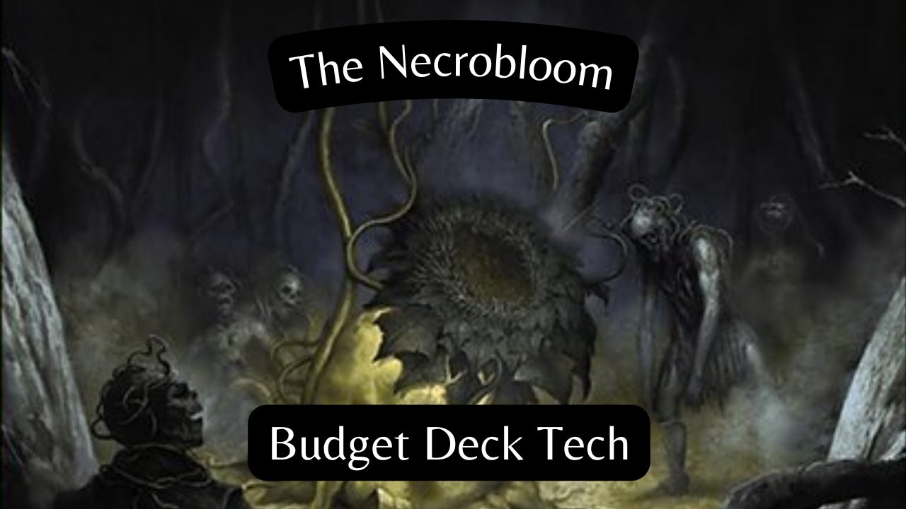 Budget Deck Tech  