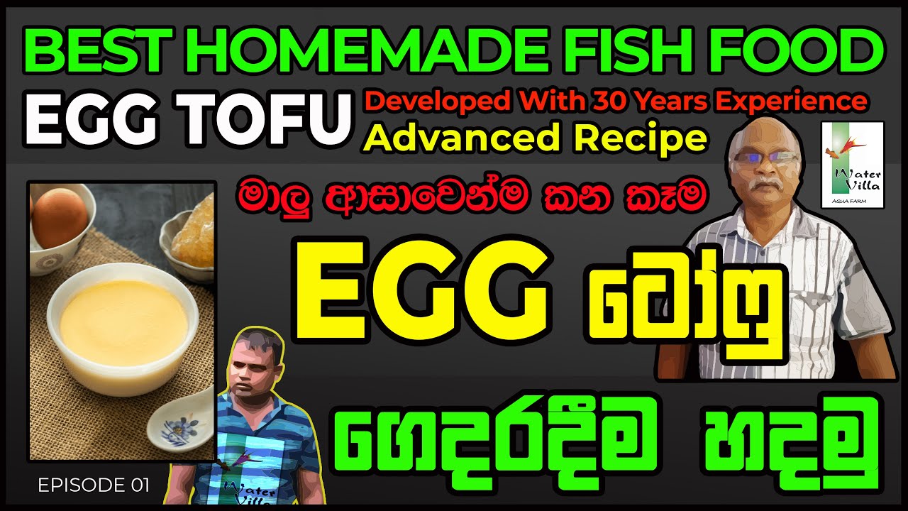 How To Make Egg Tofu Enriched with Proteins | මාලු ආසාවෙන්ම කන සූපිරිම  කෑම Egg Tofu ගෙදරදීම හදාගමු