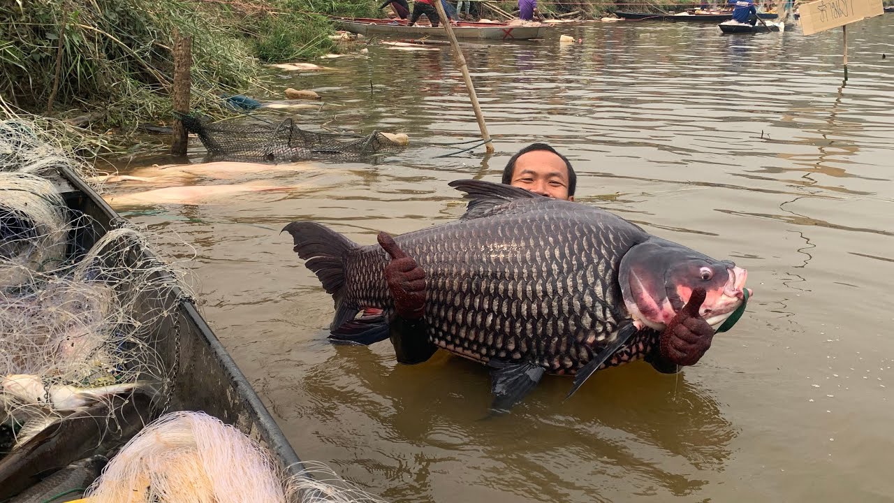 ล่าปลาใหญ่อ่างเก็บน้ำห้วยส้าน อ.แม่ลาว งานนี้บอกเลยเต็มคาราเบล
