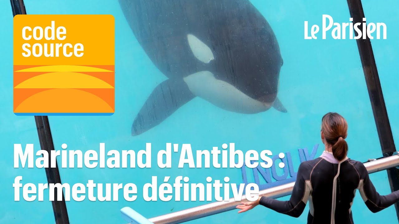 [PODCAST] Bien-être animal, baisse des visites... Pourquoi le plus grand zoo marin d'Europe a fermé