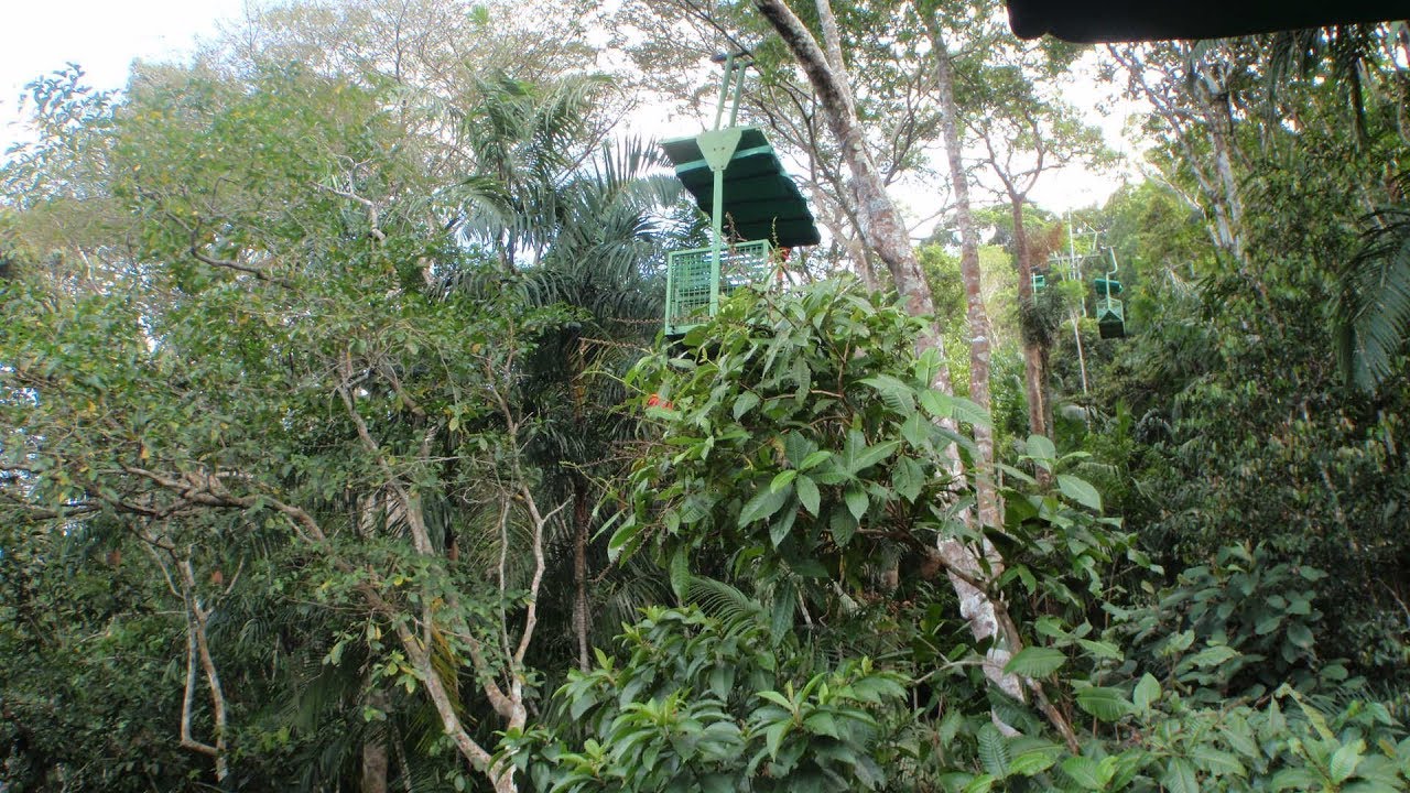 Panama 2018 - Gamboa - rein forest