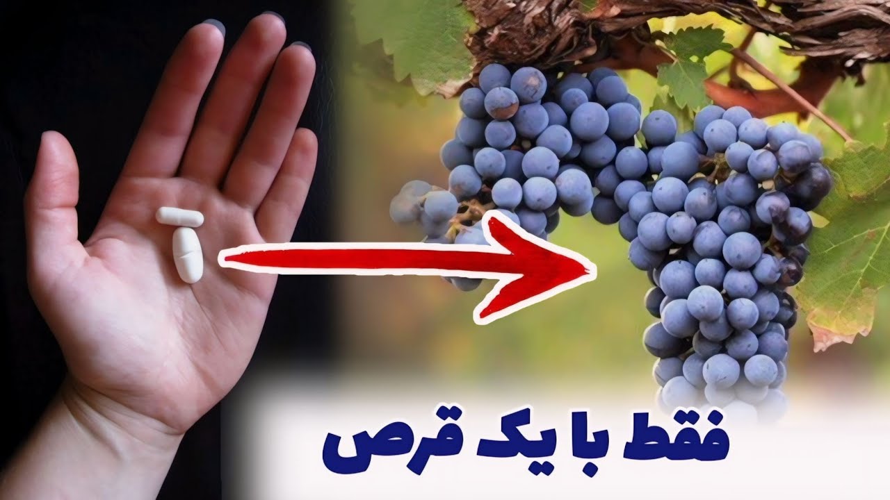 اگر این قرص را داشته باشی هیچ ادویه و کود کیمیاوی ضرورت نداری