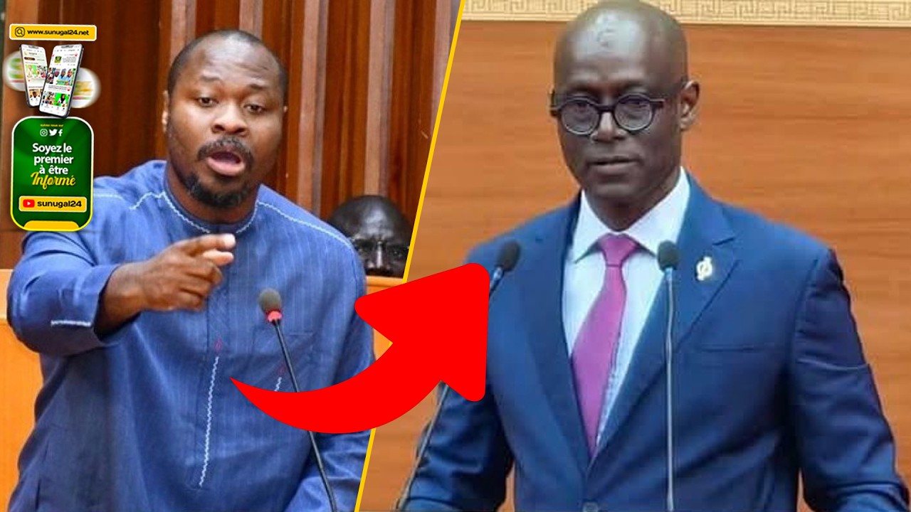 Seisme à l'assemblée nationale, Guy marius Sagna et Thierno Alassane sall se livrent à un spectacle