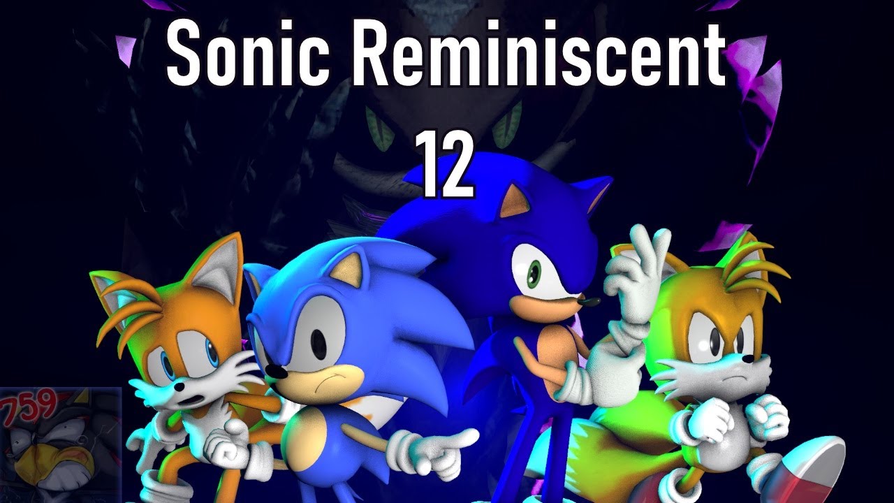 Sonic The Hedgehog Reminiscent Twelve