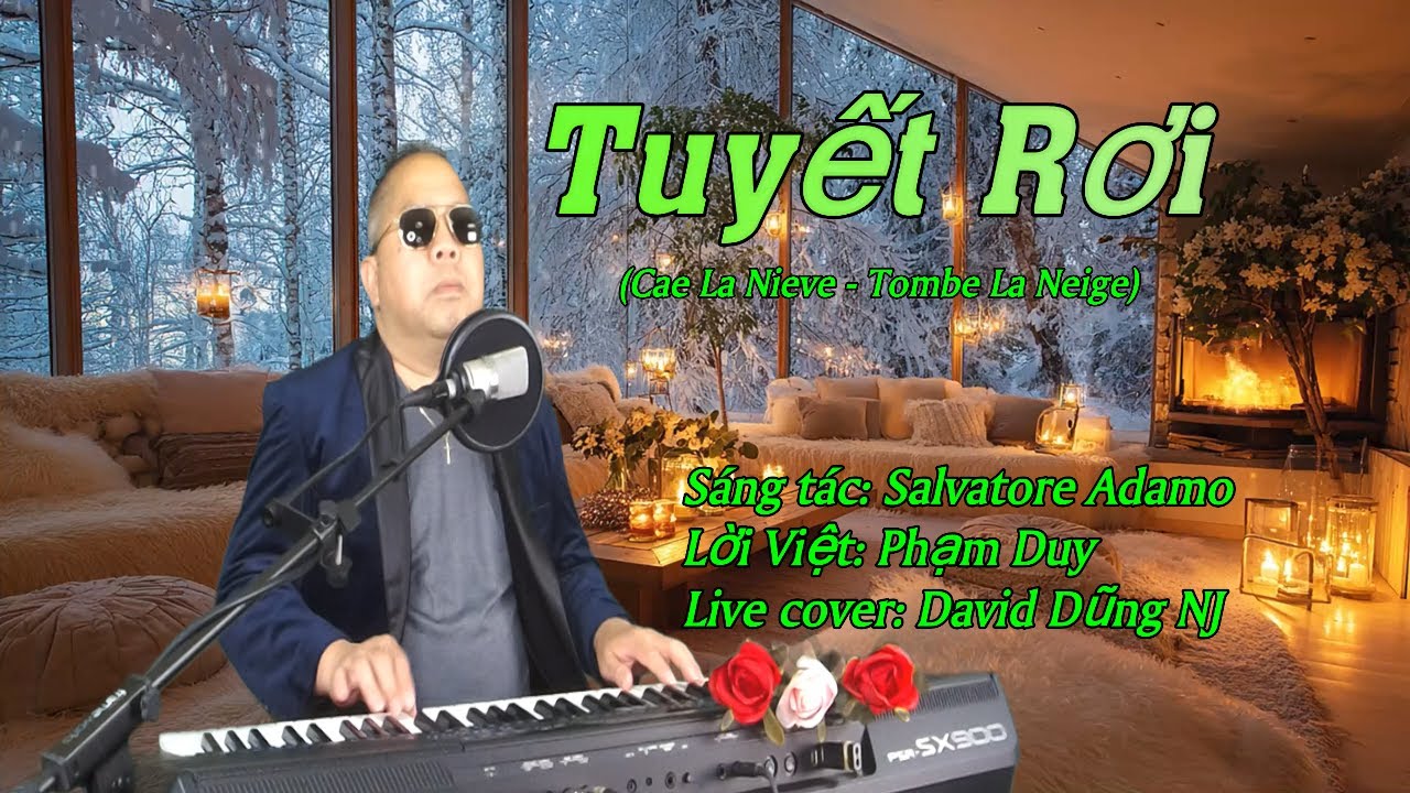 Tuyết Rơi  (Cae La Nieve - Tombe La Neige) | Live cover: David Dũng NJ