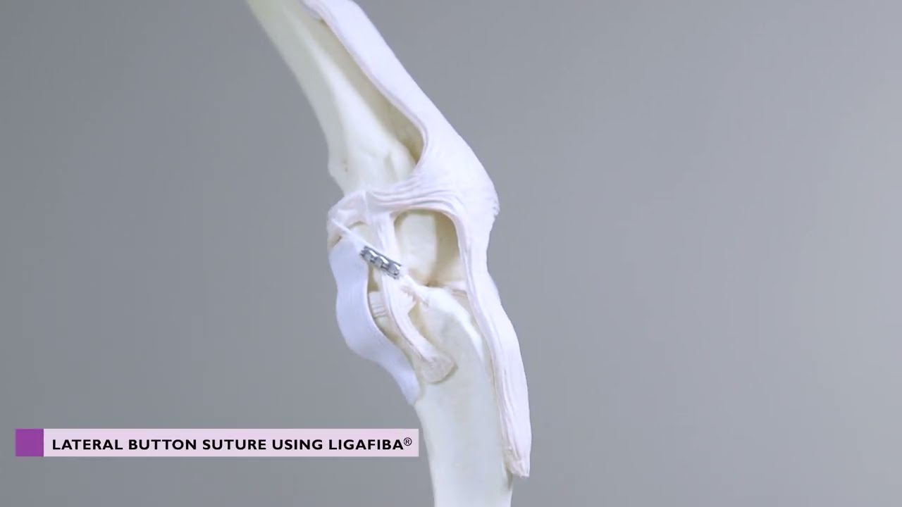 Crimping Forceps  (Veterinary Orthopaedics Instrumentation Overview)