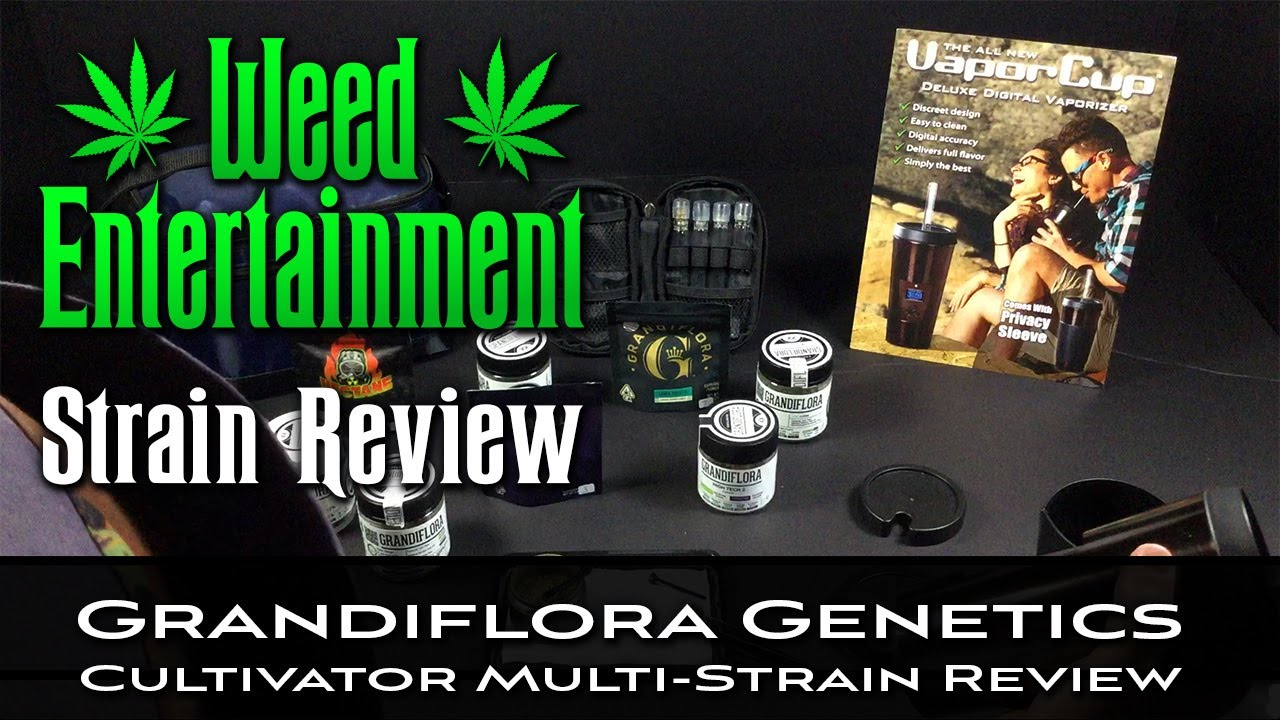 Grandiflora Genetics - Cultivator Multi-Strain Marijuana Review - 8 strains - Feb 2021