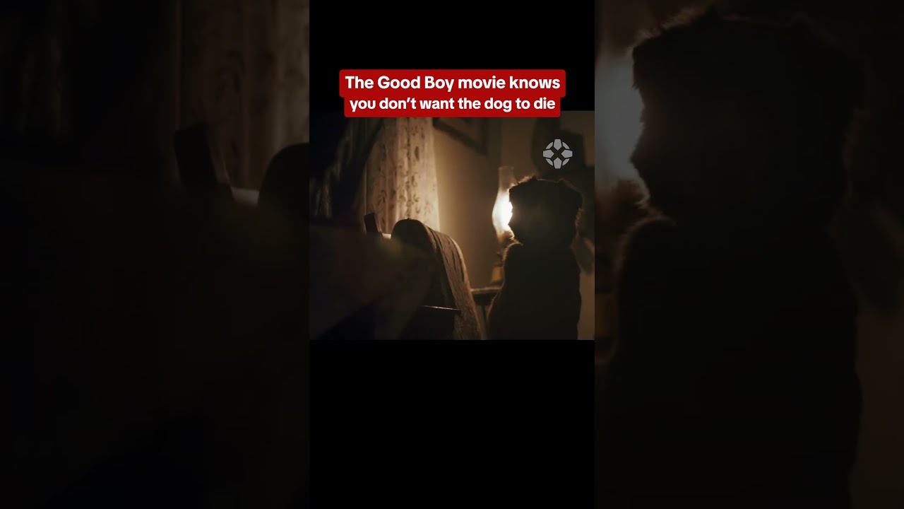 This dog horror movie knows your ACTUAL biggest fear