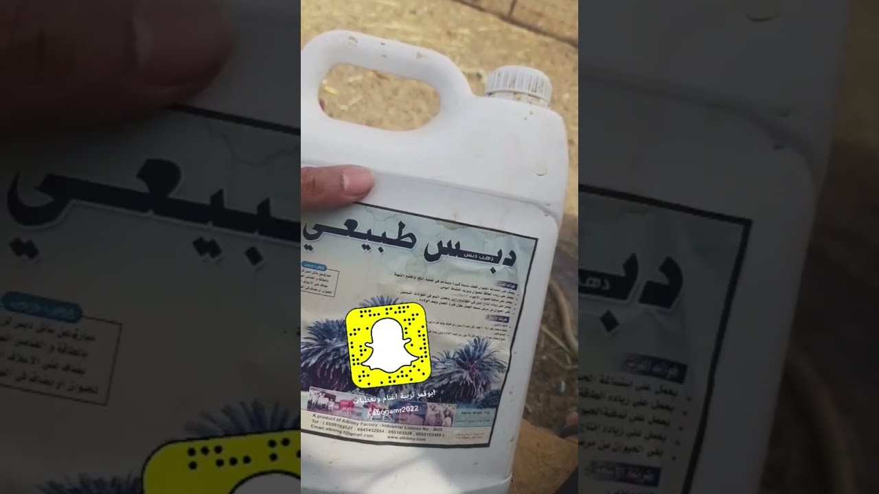 الدبس للغنم  او المولاس الكميه وطريقة استخدامه