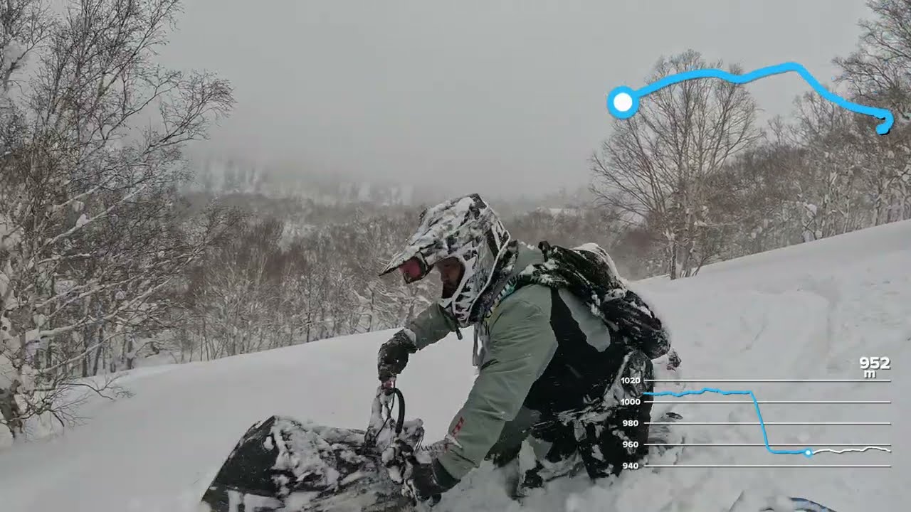 地獄に下りる様です😬野良犬が、1番先にラインを切り刻みます🥶虐め🐶