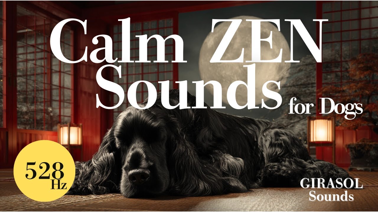 Calm Sounds for Dogs Home Alone | Japanese ZEN | Stay Calm | 11H