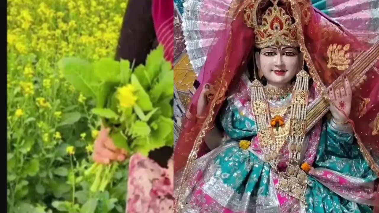 23 जनवरी बसंत पंचमी महा उपाय 108 सरसों के फूलों का उपाय जरूर करें पंडित प्रदीप मिश्रा ##trending 
