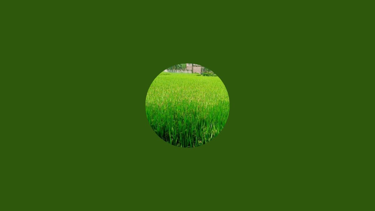 বন্ধুরা সবাই চলে এসো।।