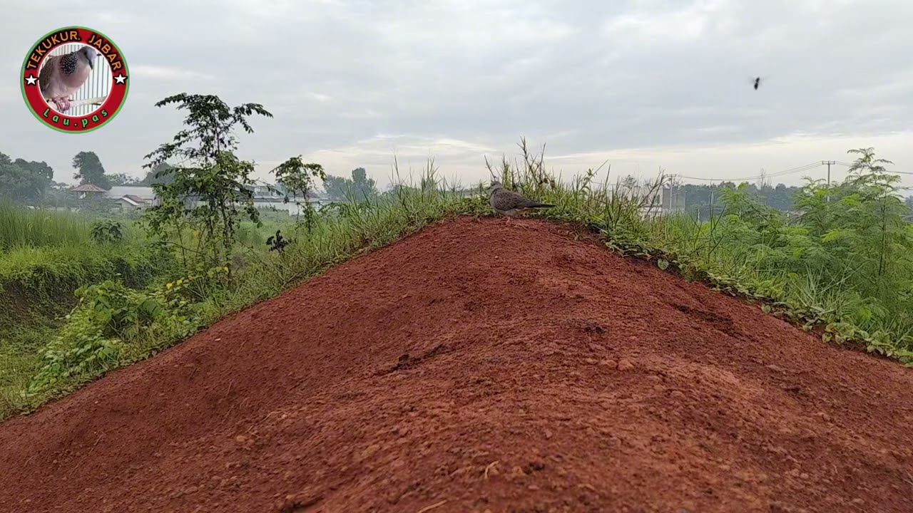 Ga nunggu lama langsung turun.