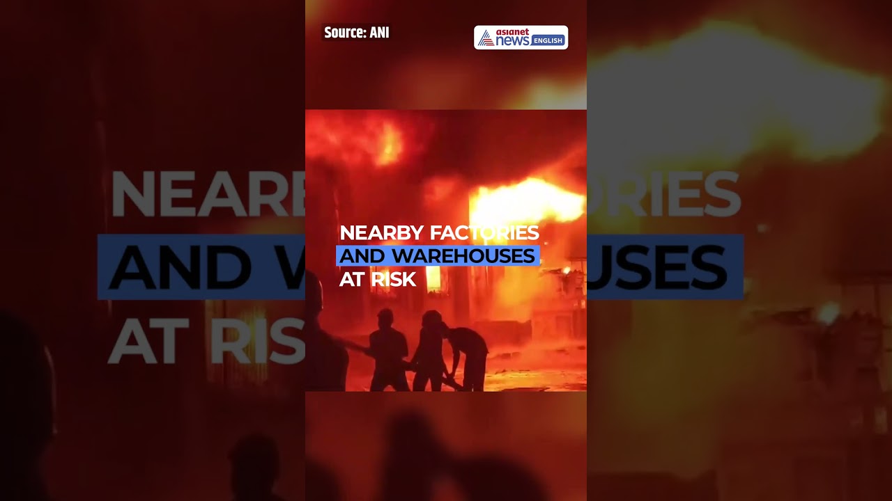 Massive Fire at Dadra & Nagar Haveli's Industrial Area | WATCH