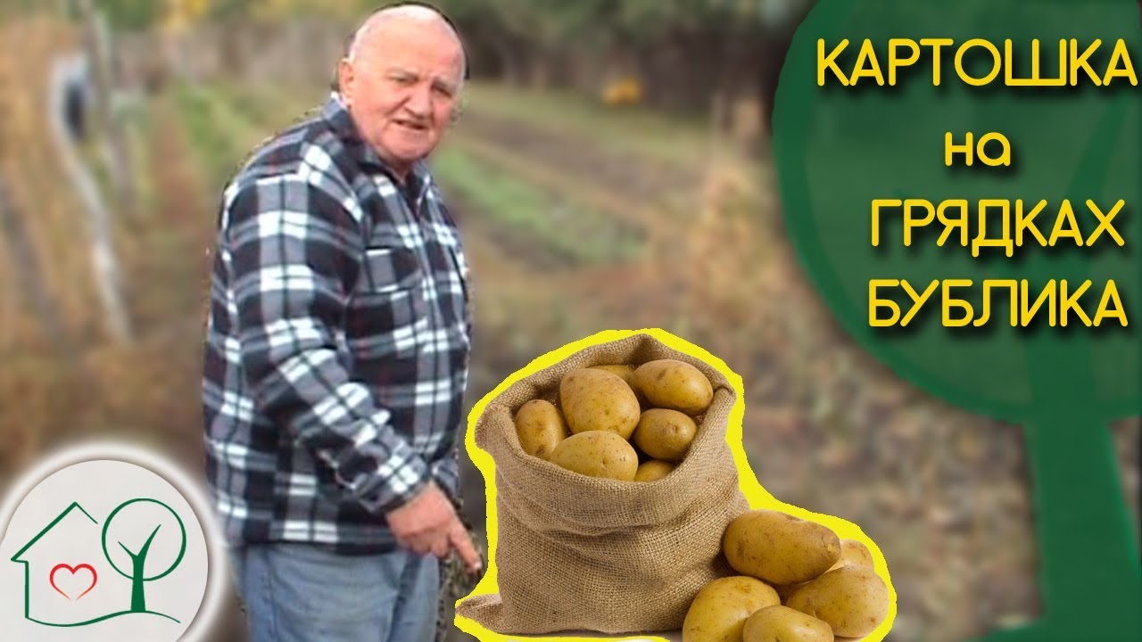 Бублик Б. А. Картошка на грядках 🍠/ Огород без хлопот 👍