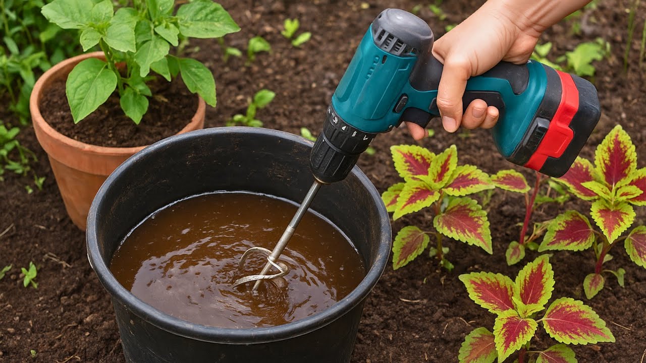 How to Easily Make Compost Extract for a Healthier Garden