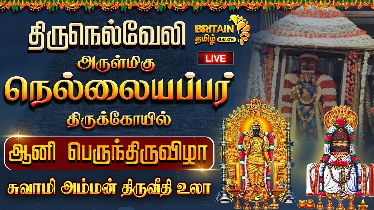 🔴LIVE - திருநெல்வேலி நெல்லையப்பர்-ஆனி திருவிழா அம்மை-அப்பன் புறப்பாடு| Thirunelveli Nellaiappar