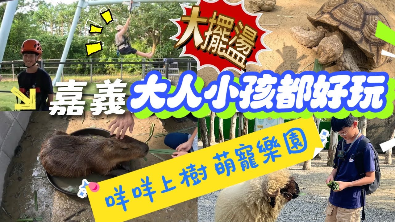 嘉義親子樂園/全區樹蔭不怕曬【咩咩上樹 萌寵樂園】極限大擺盪！水豚 笑笑羊 陸龜 上百隻
