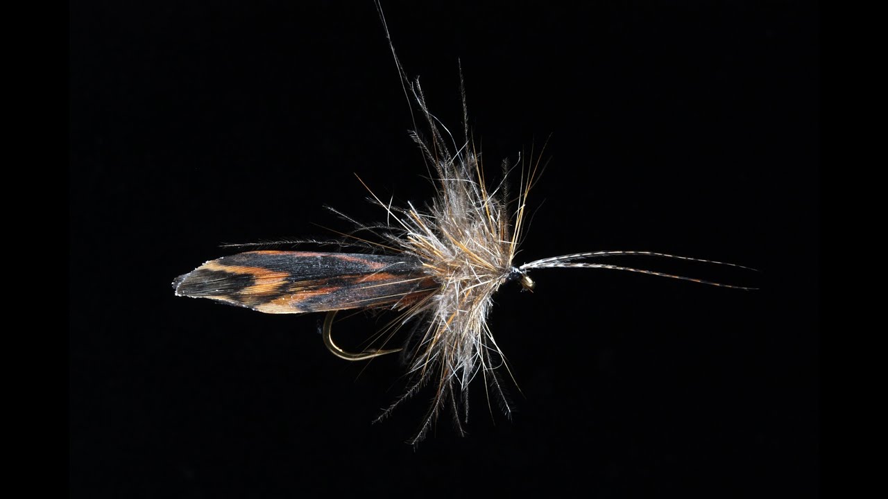 CDC BROWN SEDGE