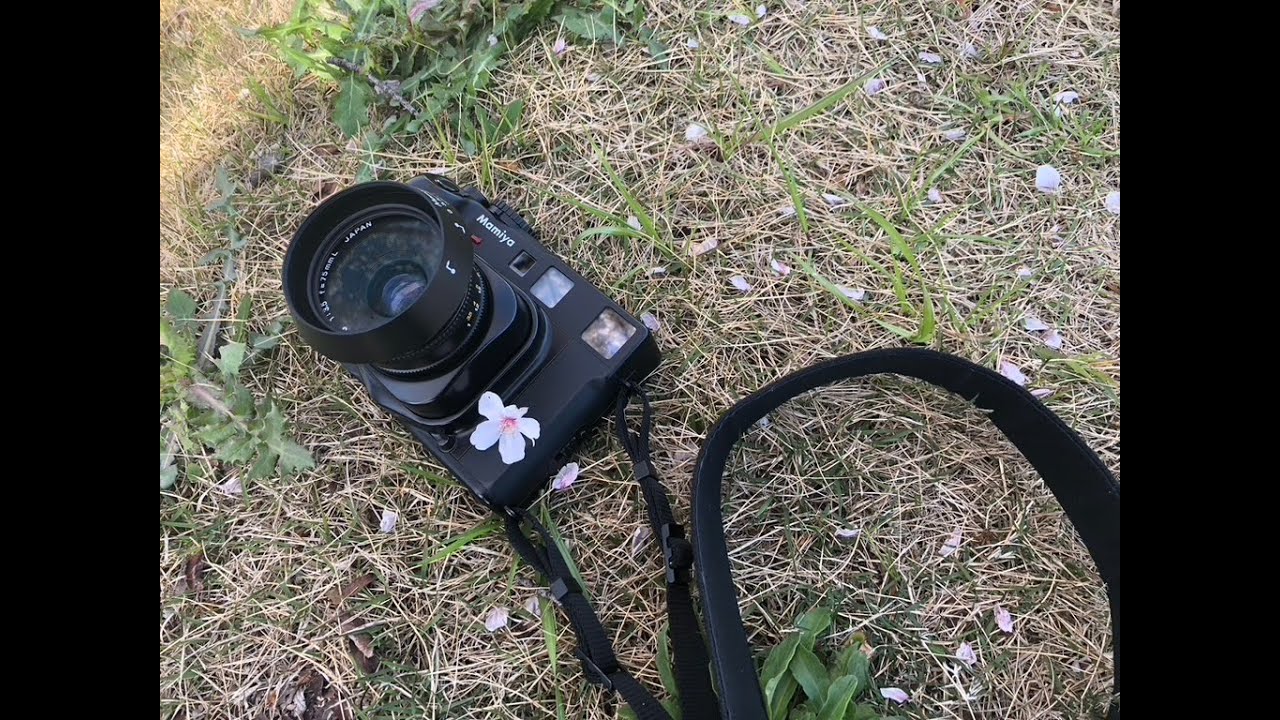 Mamiya 6 MF :  ~ Spring Days , Case of Mamiya 6 MF ~