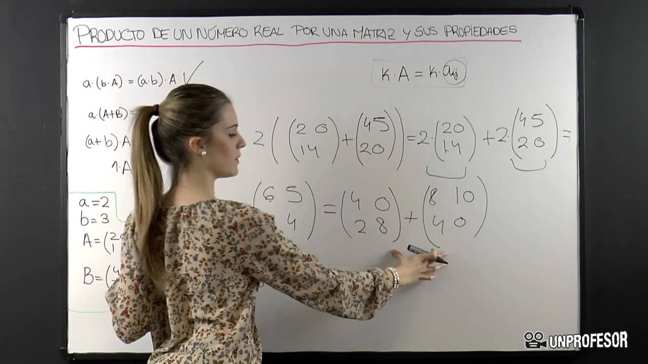 Producto de un número real por una matriz y sus propiedades
