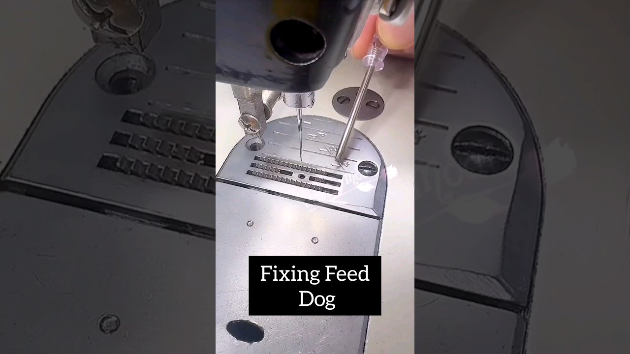 Feed Dog Problem #diy #sewingmachineproblems #tips